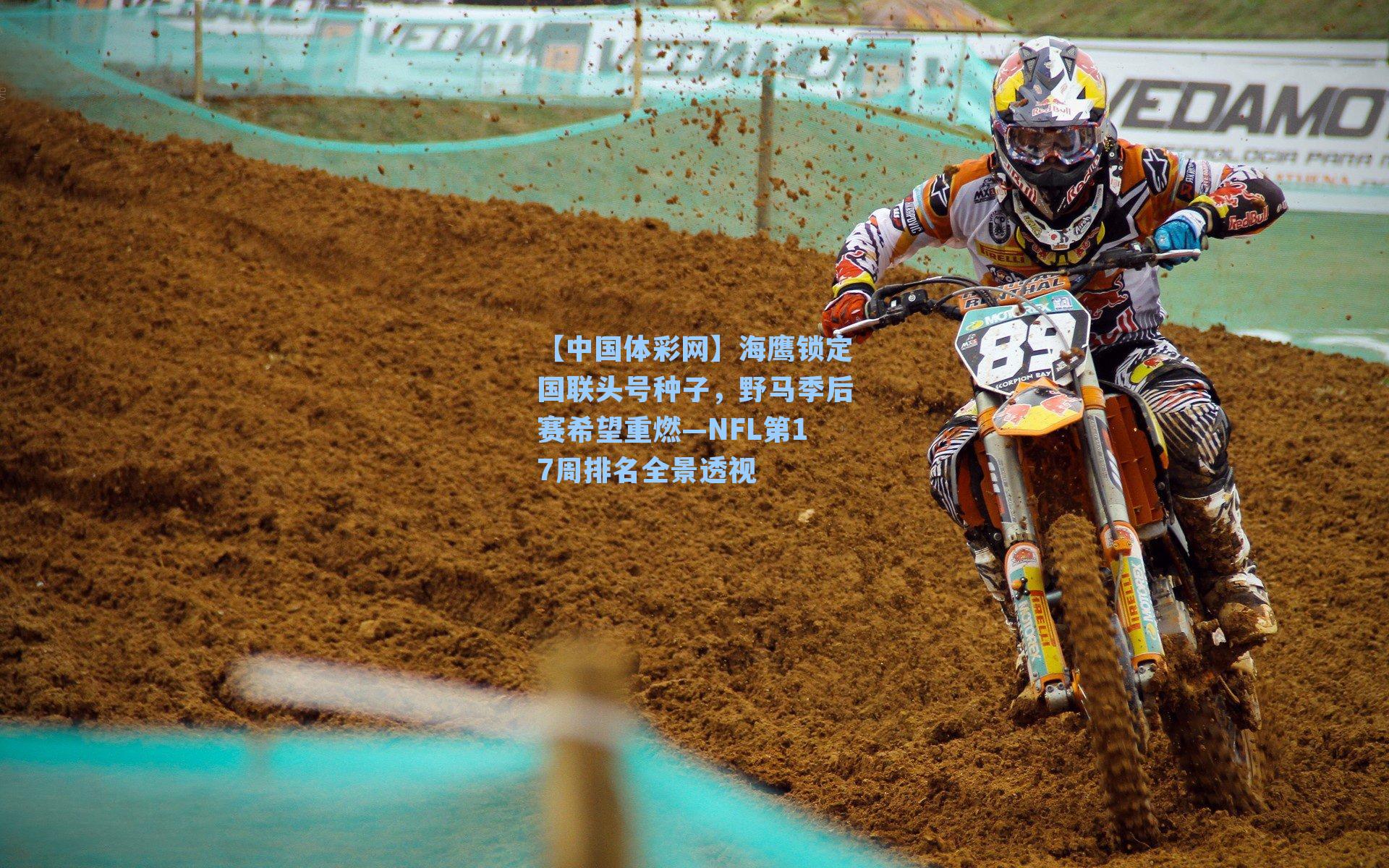 海鹰锁定国联头号种子，野马季后赛希望重燃—NFL第17周排名全景透视