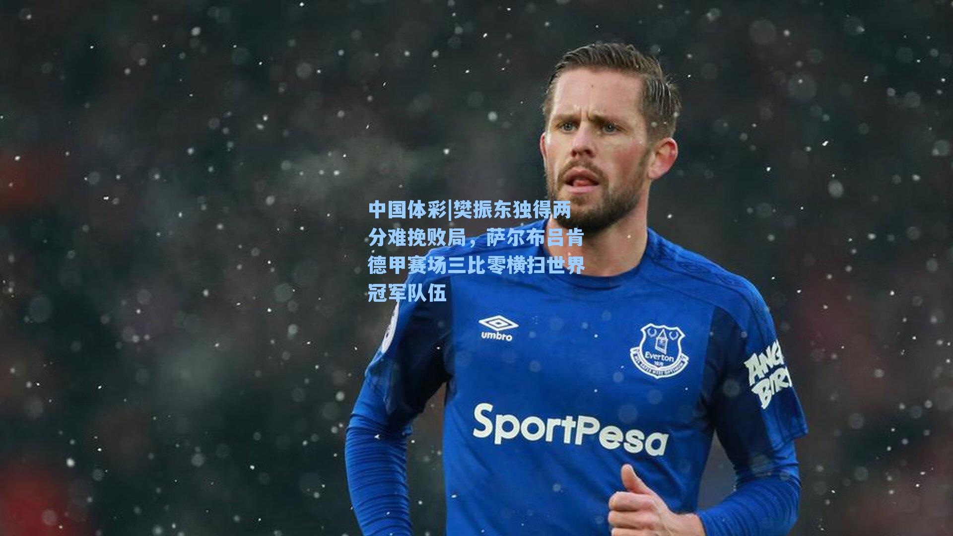 樊振东独得两分难挽败局，萨尔布吕肯德甲赛场三比零横扫世界冠军队伍